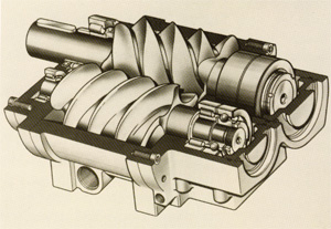 Screw Compressors Are "En Vogue"